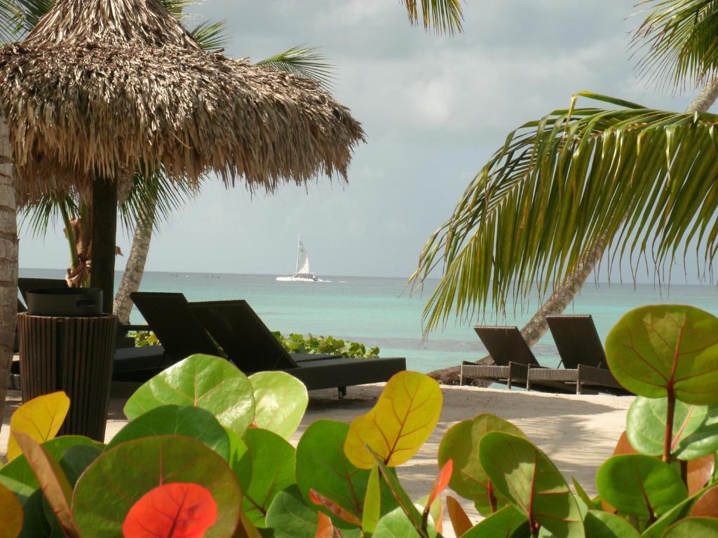 Hotel Miranda Bayahibe Exteriér fotografie